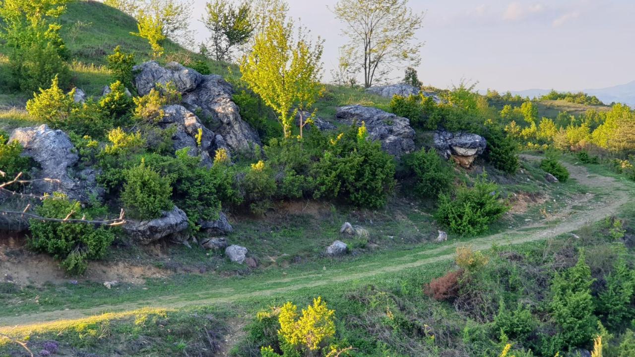 Бялата Къща Hotel Chakalarovo Eksteriør billede